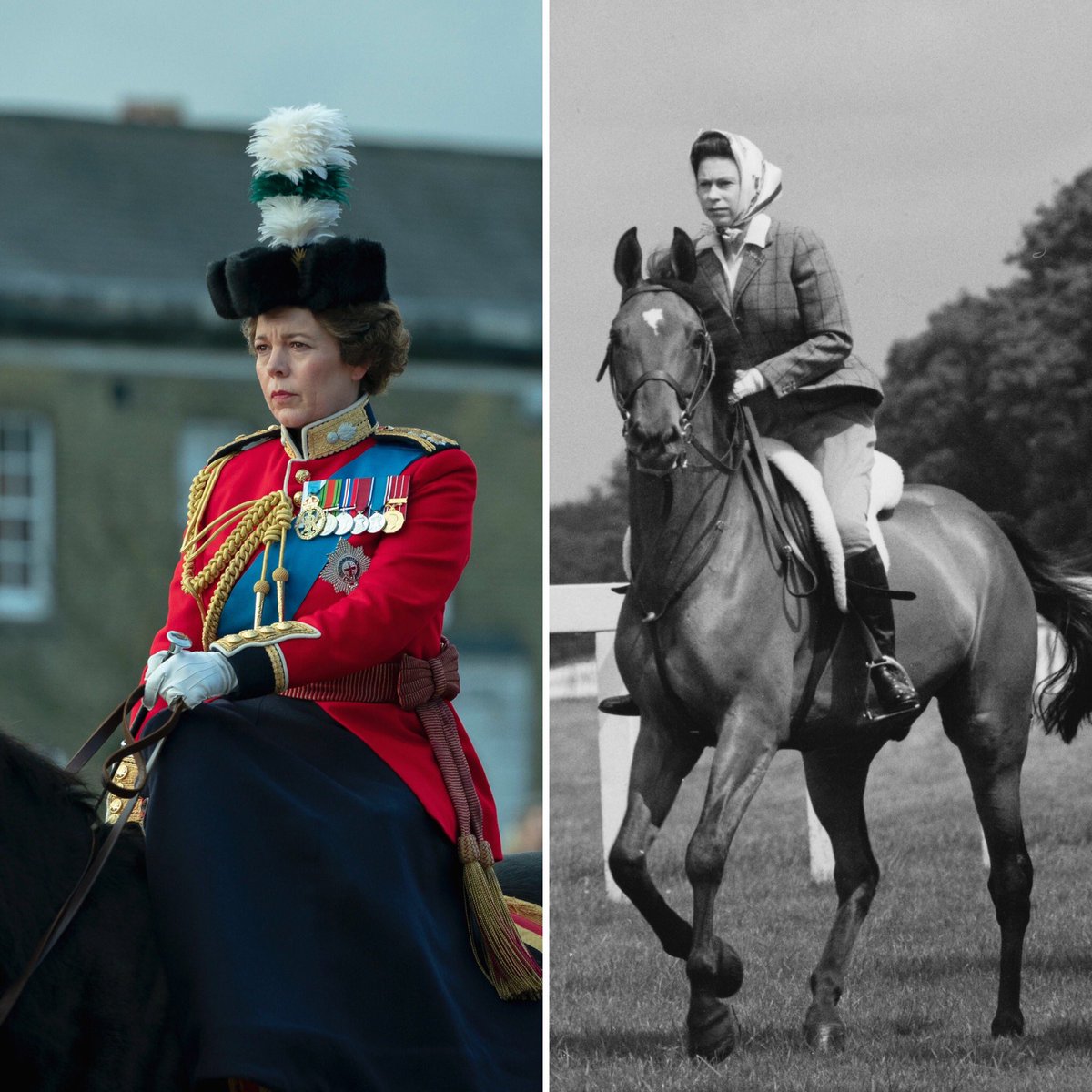 World Horse Racing tweet media