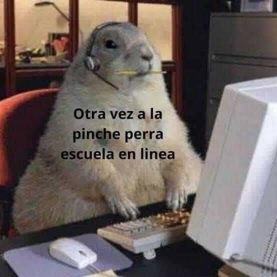 tujalefav's tweet photo. Mood de lunes: https://t.co/AgqcGGgttZ