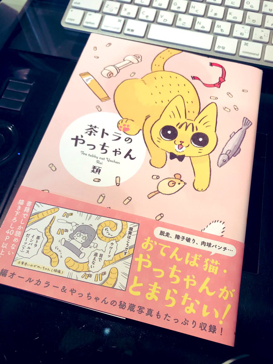 娘が猫好きの仲良しさんから借りてきた本。KADOKAWAさんじゃないですか!!やっちゃん可愛かった。 