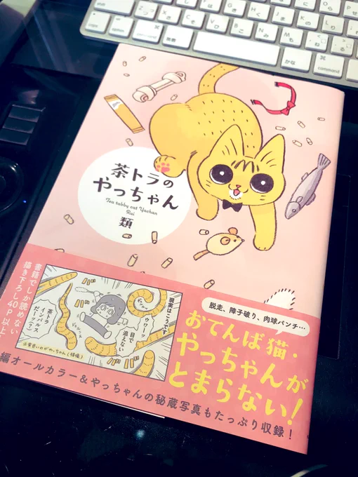 娘が猫好きの仲良しさんから借りてきた本。KADOKAWAさんじゃないですか!!やっちゃん可愛かった。 