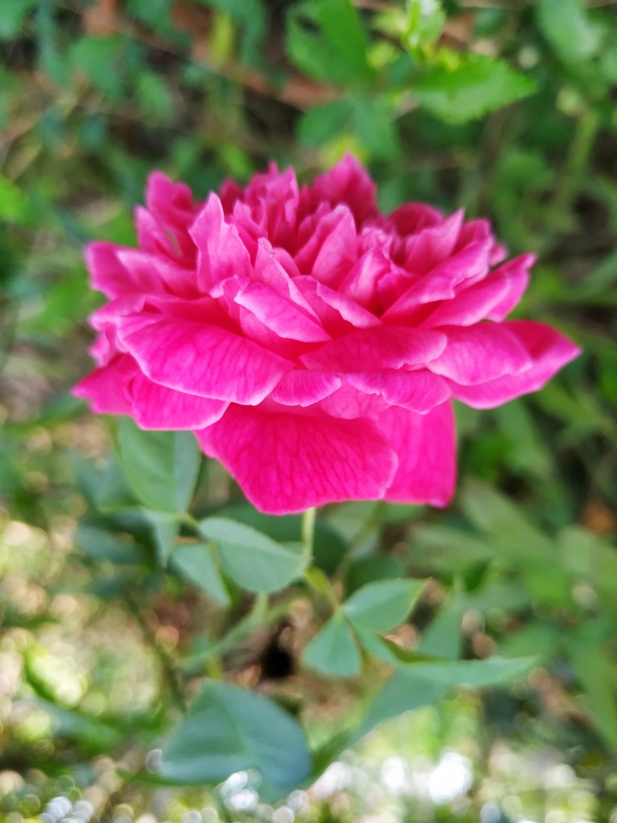 A beautiful day for dear Friends.