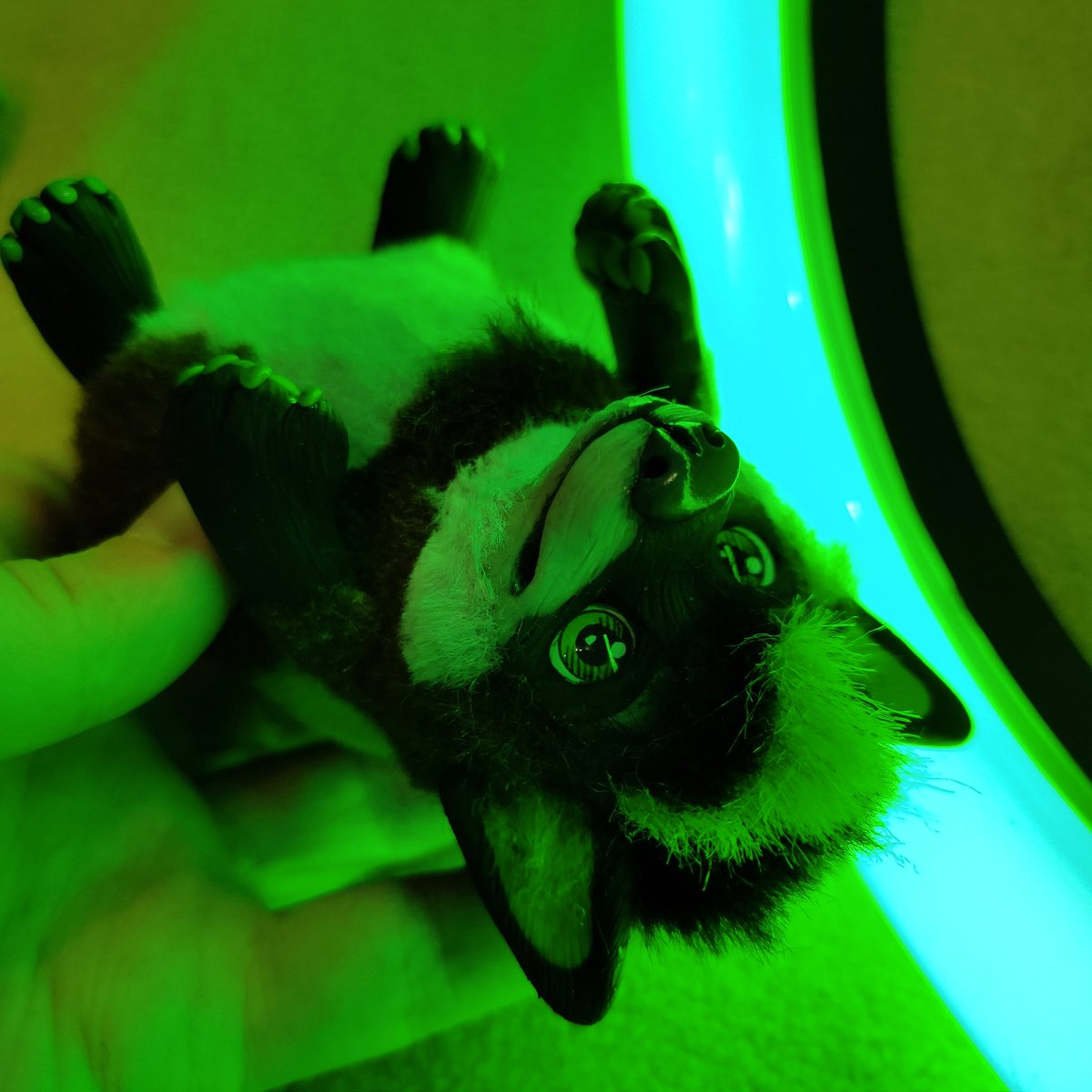 CatKrafi's tweet photo. Tiny custom artdoll wolf Kiki :3
Character @AussieChrysanth
-
-
-
#artdoll #arttoy #artdollmaker #craft #crafting #polymerclay #glasseyes #furrywolf #wolfdoll https://t.co/Dgc9XWaXIw
