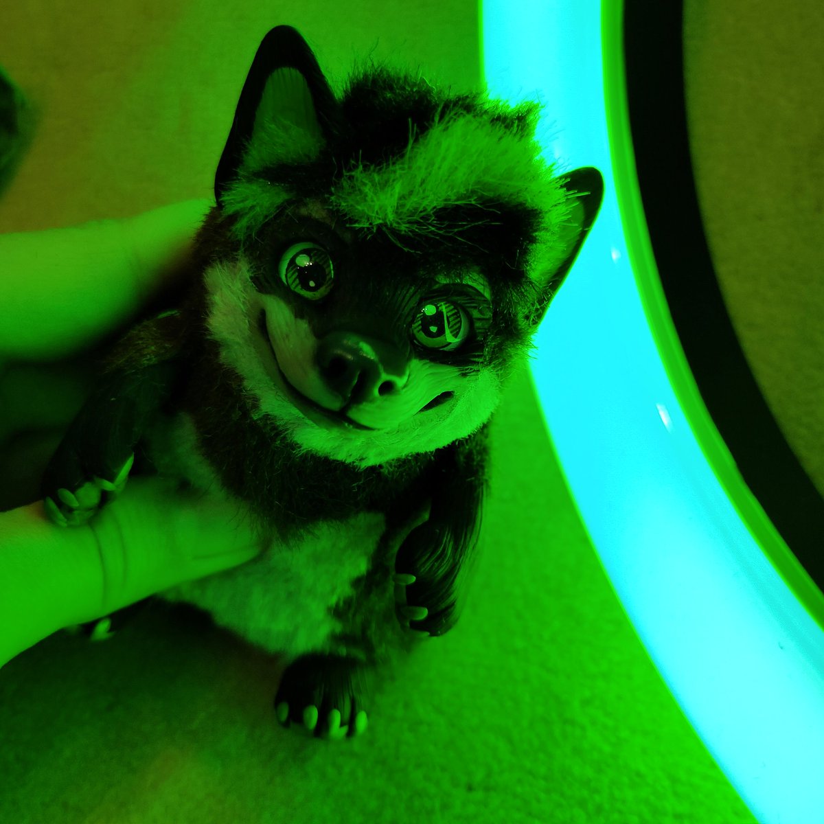 CatKrafi's tweet photo. Tiny custom artdoll wolf Kiki :3
Character @AussieChrysanth
-
-
-
#artdoll #arttoy #artdollmaker #craft #crafting #polymerclay #glasseyes #furrywolf #wolfdoll https://t.co/Dgc9XWaXIw