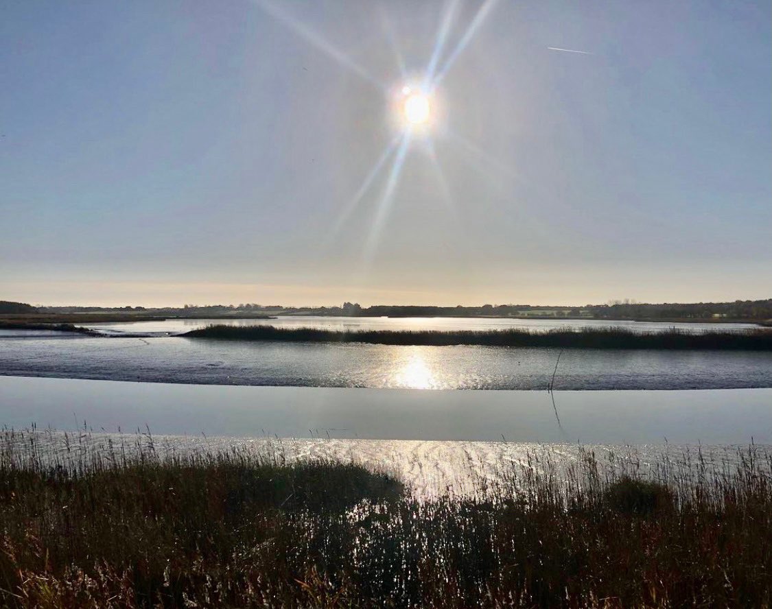 AldeOreTrust's tweet photo. This ethereal shot of the River Alde at Snape today has a shiny, metallic look which has us hoping for a silver lining and some good news on the horizon as we approach the end of Lockdown 2.
•
#riveralde #sosestuary #snape #floodAware #riverdefences #charity #Suffolk https://t.co/O7L7hcJ1Az