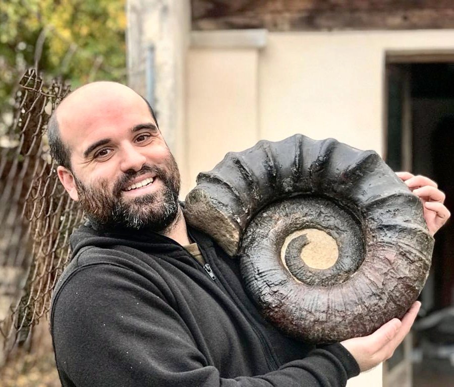 NitePep's tweet photo. My last preparation. Tropaeum from UK. @SHNB_BSHNB @MBCNSoller @Pere_Miralles @Ferpertier @MuseoGeominero @FemoraleShells https://t.co/1i2R8BA7NK