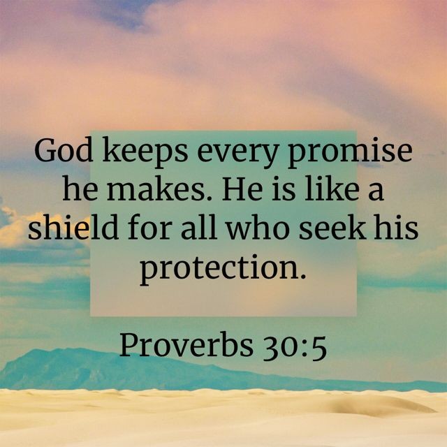 PioneerUnion's tweet photo. God keeps every promise He makes. He is like a shield for all who seek His protection.Proverbs 30:5 #ourshield #Godspromisesaretrue 
#ourprotector https://t.co/iTuPHLcinJ