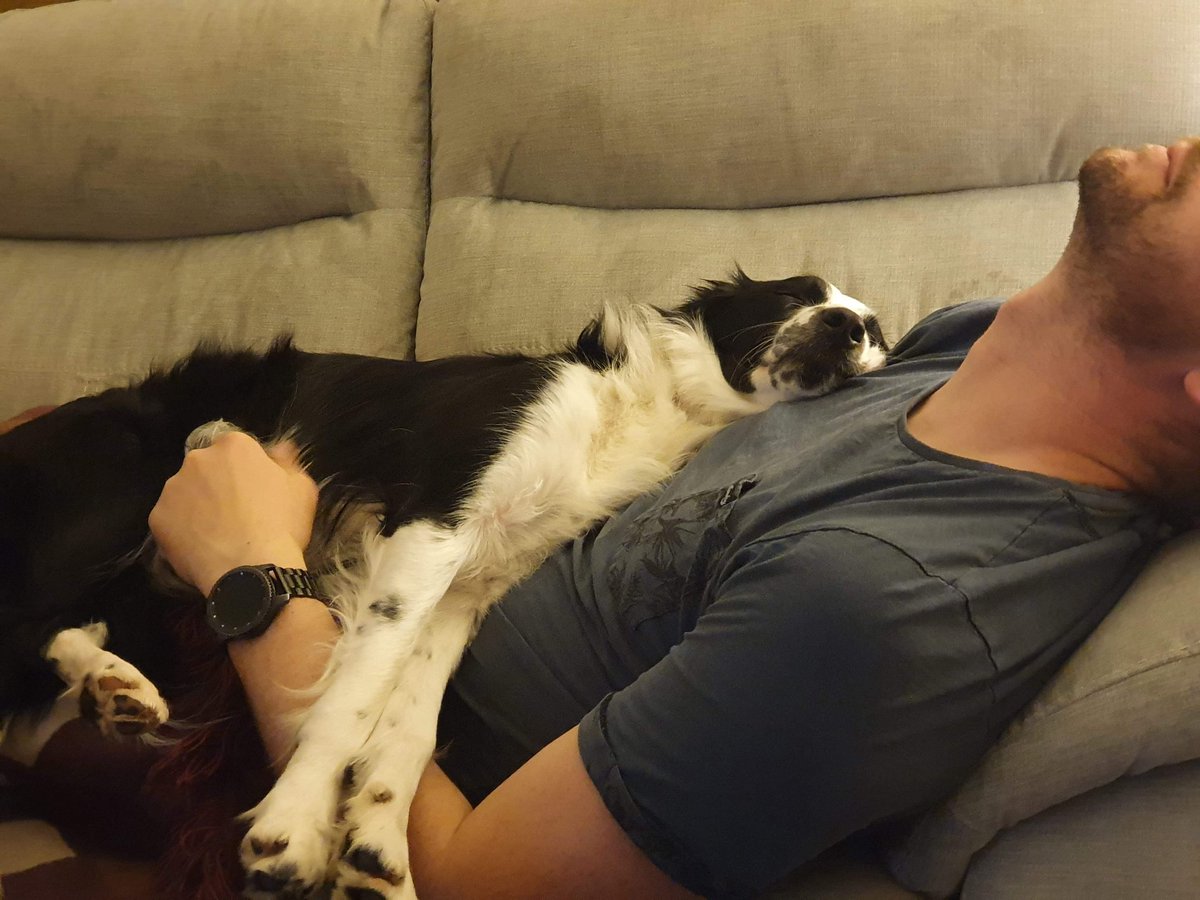 IrelandRichie's tweet photo. @SeanAllmark1 I don't get on twitter much these days, but I'm sorry to hear you're still unwell. I hope you are able to get a path to recovery soon.

Have a picture of one of our doggos crashed out, on top of me, crashed out too after a long day of virtual meetings, to bring some cheer 😁 https://t.co/bM415IYaqs