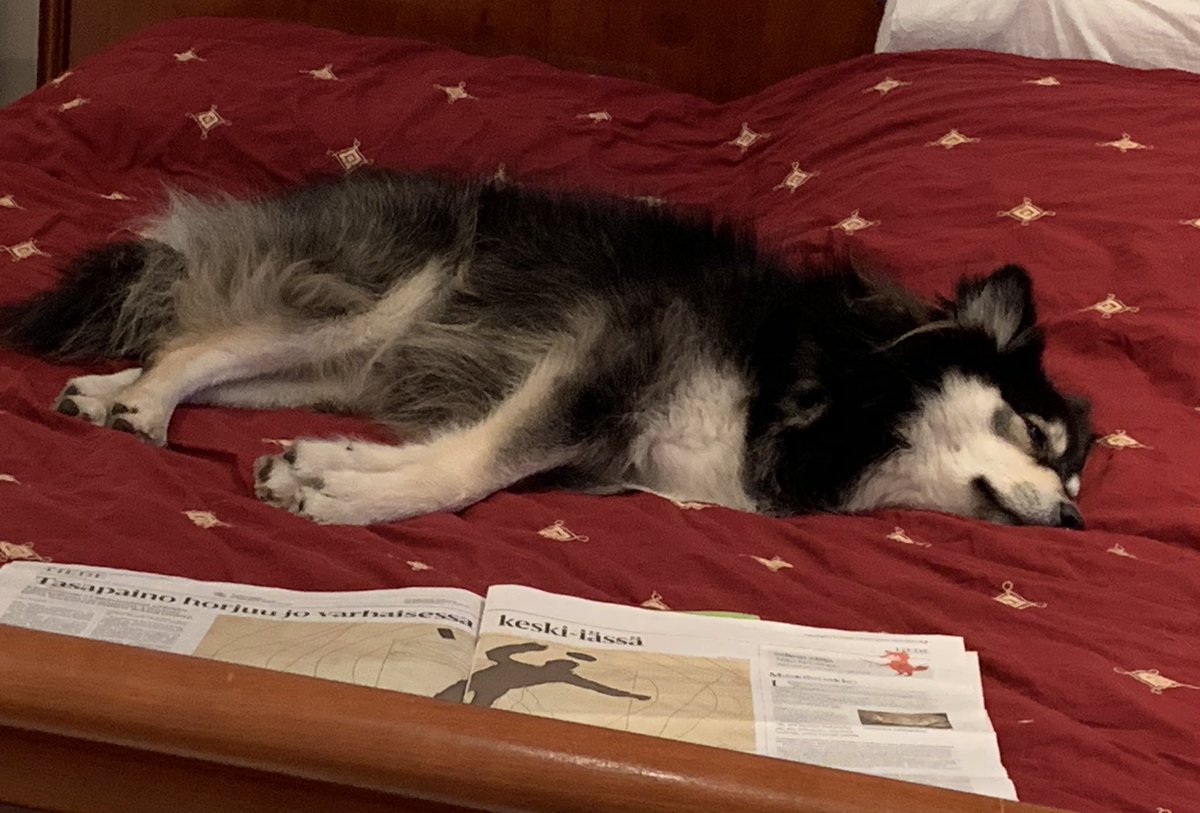 magalaal_'s tweet photo. Rankkaa tämä sanomalehden luku...😴 Varsinkin kun otsikko on noin hälyttävä😱 #tasapaino #liikunta #lihasvoima https://t.co/l2e3jIHhAm