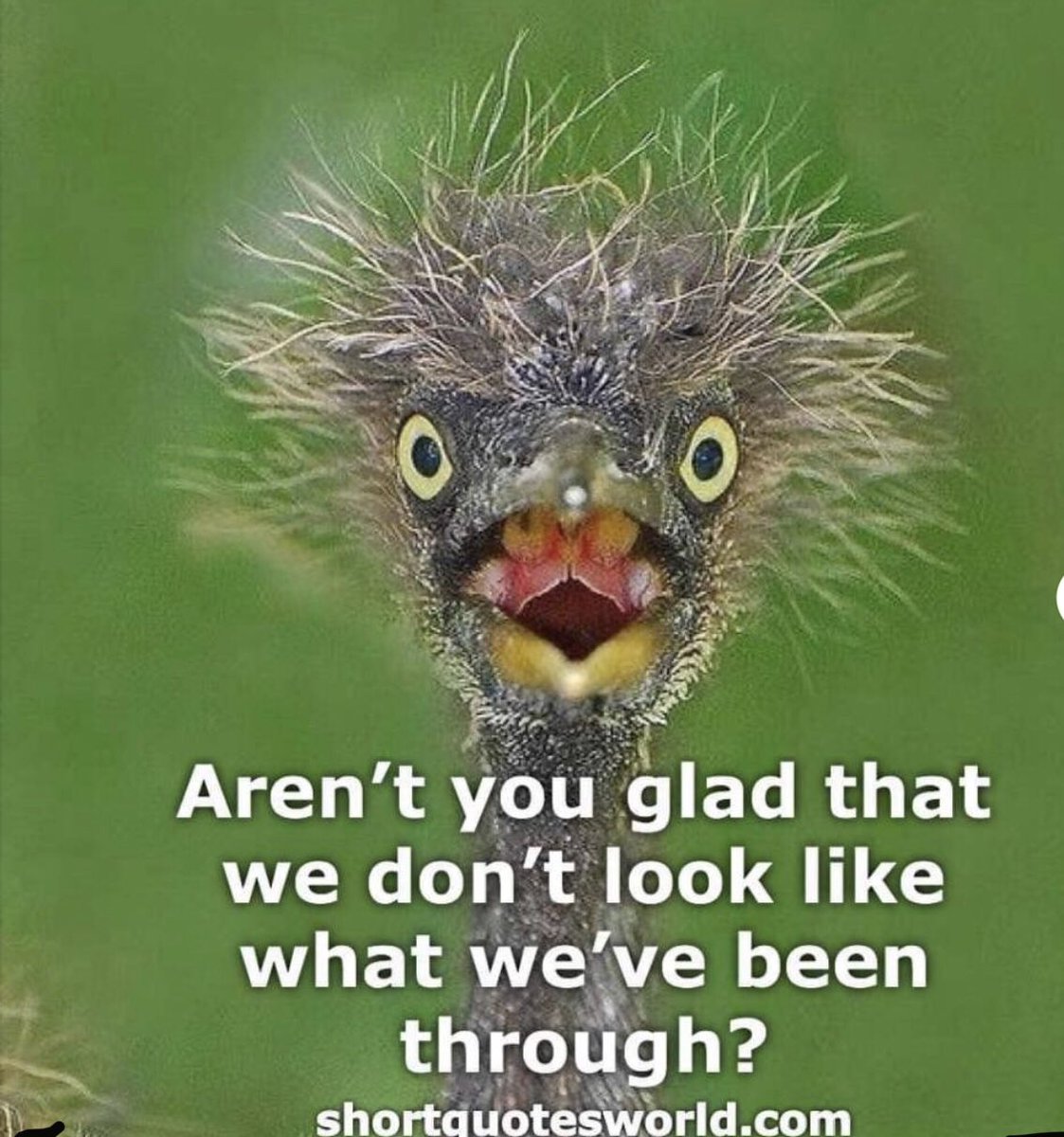 ConsultingX's tweet photo. We are truly thankful! Laugh and have a fantastic week!! 😂😂😂 https://t.co/FNPfJCBxUX