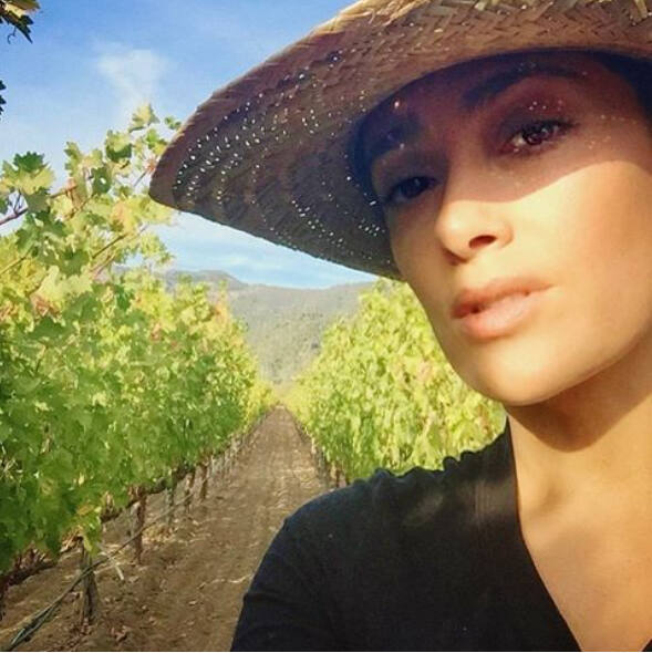 NorthBayNews's tweet photo. 27 celebrities in the North Bay wine industry https://t.co/IZl24O4nD0 https://t.co/e7oF28R10S