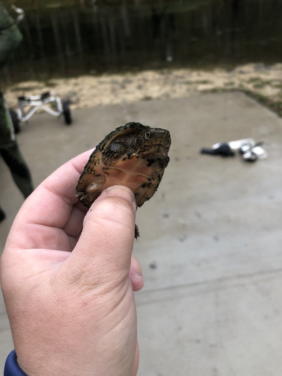 BioHook85's tweet photo. Great to run into @senatemajldr down at the river yesterday! 🤣🤣🤣 https://t.co/HVYThbLbwX