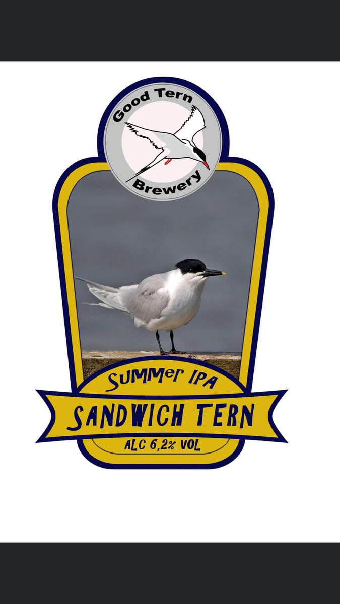 Any other bird photographers found their images stolen for use in business, check our Good Tern Brewery in Sweden, they have used 3 of mine without permission, check to see if he’s used any of your images.An invoice will be on its way Good Tern Brewery! 🤬
