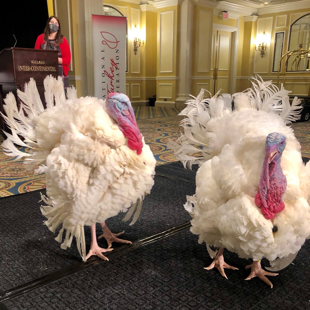 National Turkey Federation tweet media