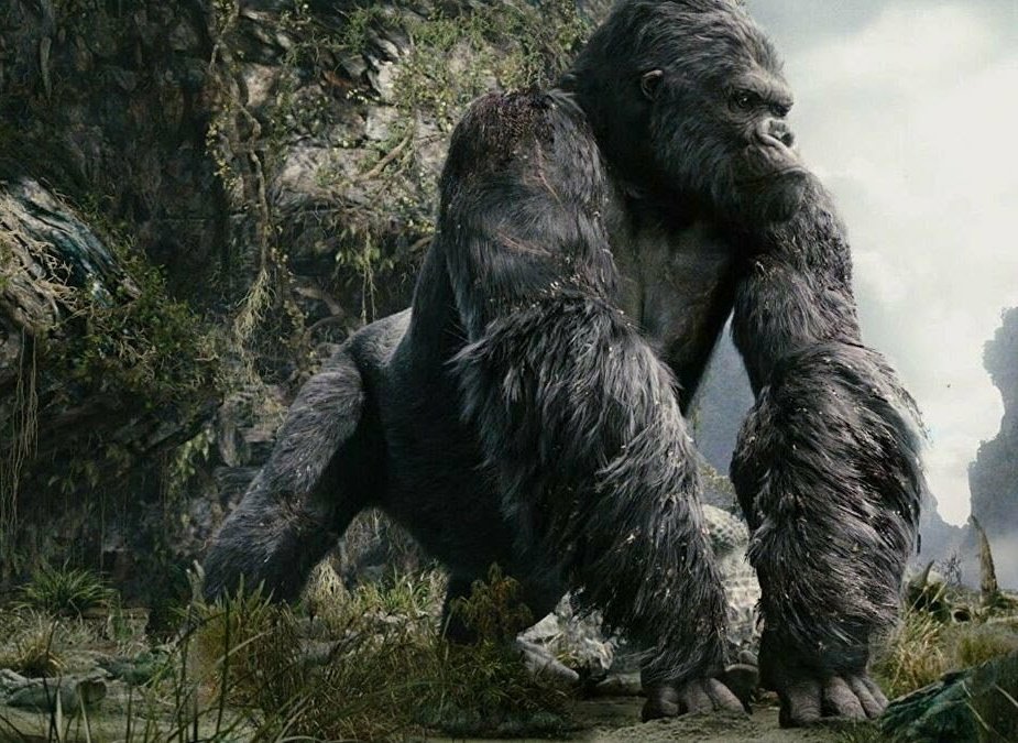 Кинг остров черепа. Г конг. Кинг конг в рост 2005. Рост кинг конга 2005. Г конг.