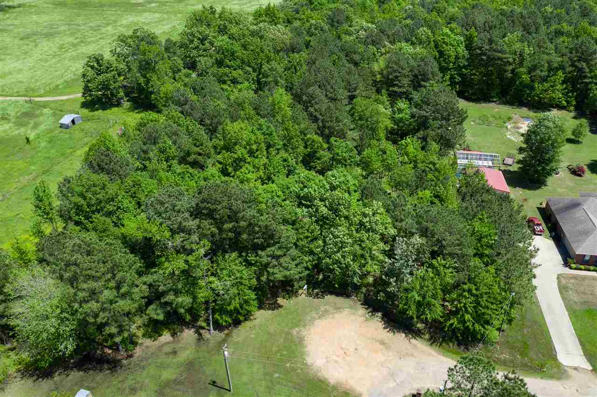 SteveRaffaelli's tweet photo. See a virtual tour of our listing on 0 MC 489 #Texarkana #AR  #realestate https://t.co/GVCkxqfYKS https://t.co/VCGoEEZfdN