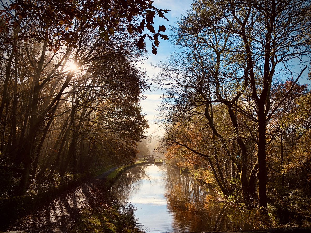 TamesideCorr's tweet photo. Tameside is blessed with some beautiful canal walking routes. 

Time it right and you’ll be able to snap a great photo

If you have an image you’d like to share with our readers email gemma@localcommunications.co.uk

📸 Judy Hallam https://t.co/eK0cNTlsUa