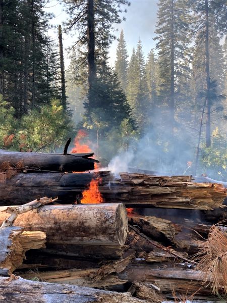 ShastaTrinityNF's tweet photo. #RXBurning continues for the next several days on the #ShastaTrinityNF in the Mt Shasta McCloud Management Unit. Smoke may be visible though is not expected to affect communities. 102 acres of piles will be burned, conditions permitting. https://t.co/kMkXW7GVKo