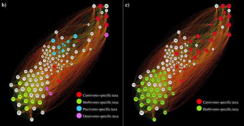 Asm On Twitter Microbiology Monday How Does Diet Host Physiology Impact The Intestinal Community The Microbial Taxonomic Profiles Of 77 Host Species Covering The Mammalian Branch Of The Tree Of Life