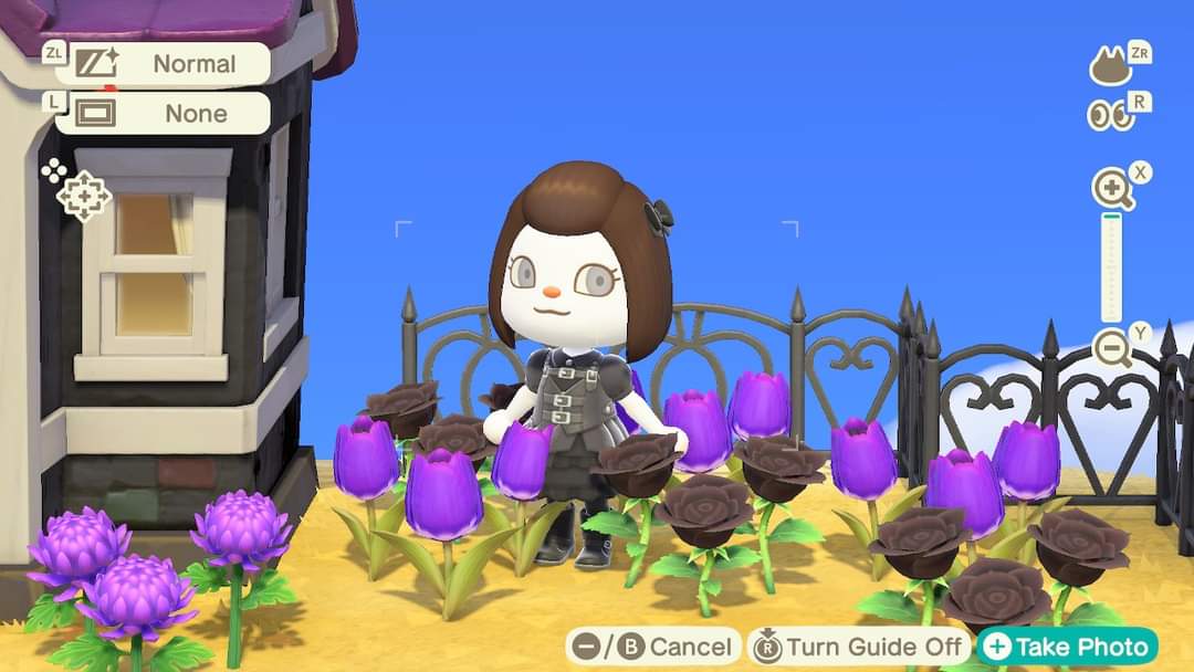 TerrorIsleACNH's tweet photo. @bunirolls Oh my gosh, this would make my day if you ever got to mine! Ppp https://t.co/tORk6cqhT7