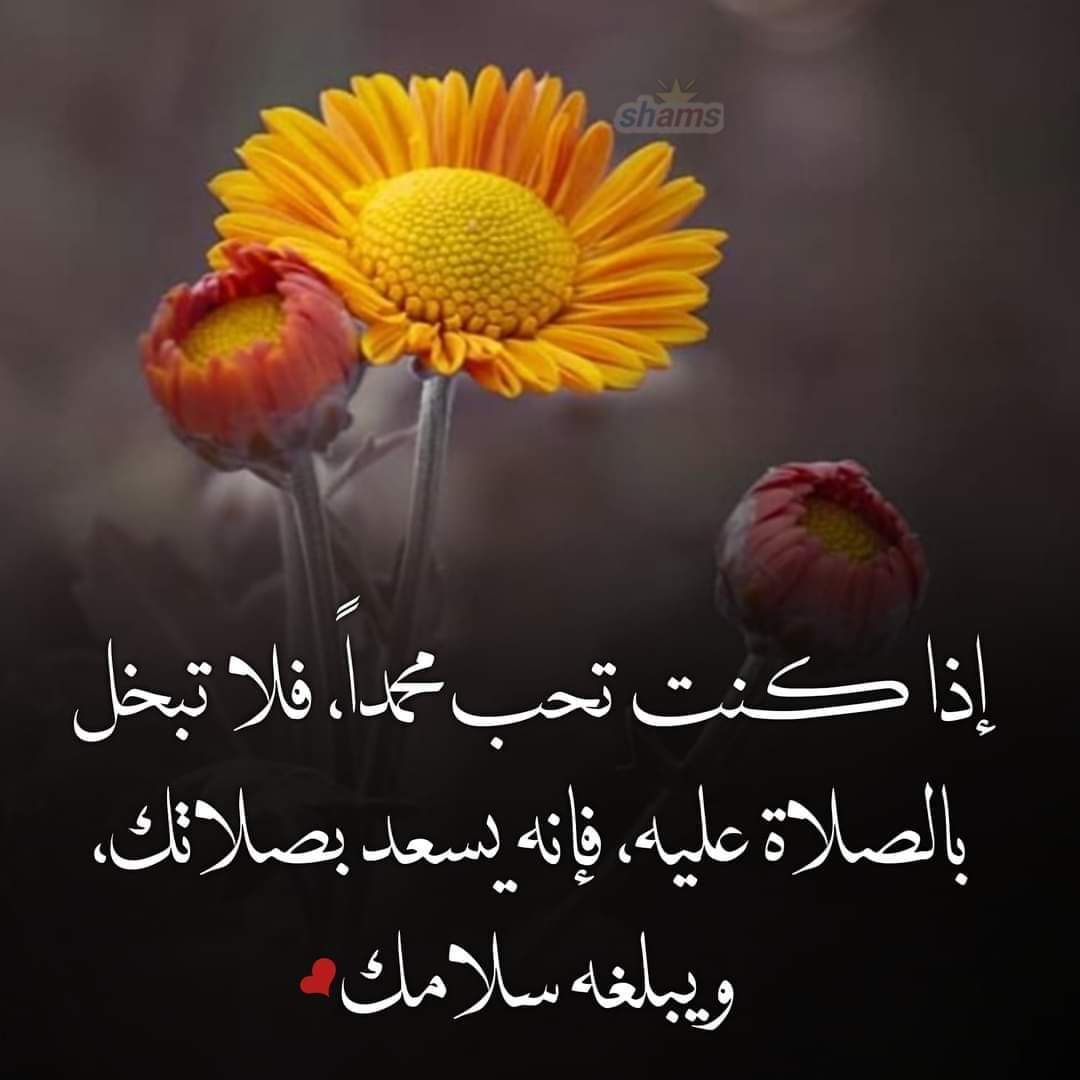 اللهم صل وسلم وبارك على سيدنا ونبينا محمد وعلى اله وصحبه اجمعين