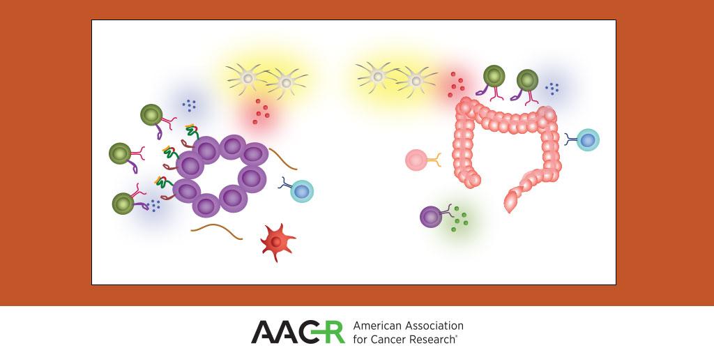 CIR_AACR's tweet photo. In need of a great #Review article? Check out the #CIRCrossroads and #CIRMasters series. These reviews cover a wide range of topics in the #CancerImmunology field. 
#TumorAntigens #Metabolism #CheckpointBlockade #Autoimmuity #NKcells #Tregs  
https://t.co/D3a6rdomyj https://t.co/wucJDWct6V