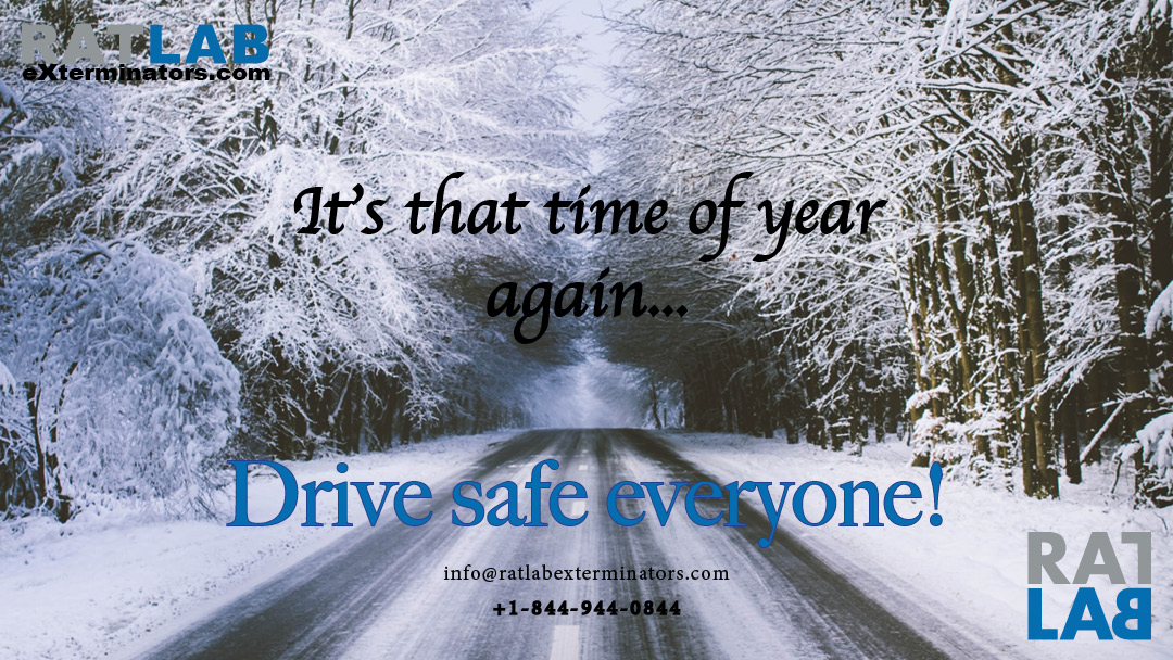 Jackimae70's tweet photo. Snow has fallen in many regions of Ontario - give yourselves extra time and drive carefully! 

#winter #driving #pestcontrol #exterminator #southernontario #rats #mice #exterminators #opossums #bedbugs #cockroaches #ants #bats #skunks #raccoons #RATLABeXterminators #exclusion https://t.co/K8PA5KKtXC