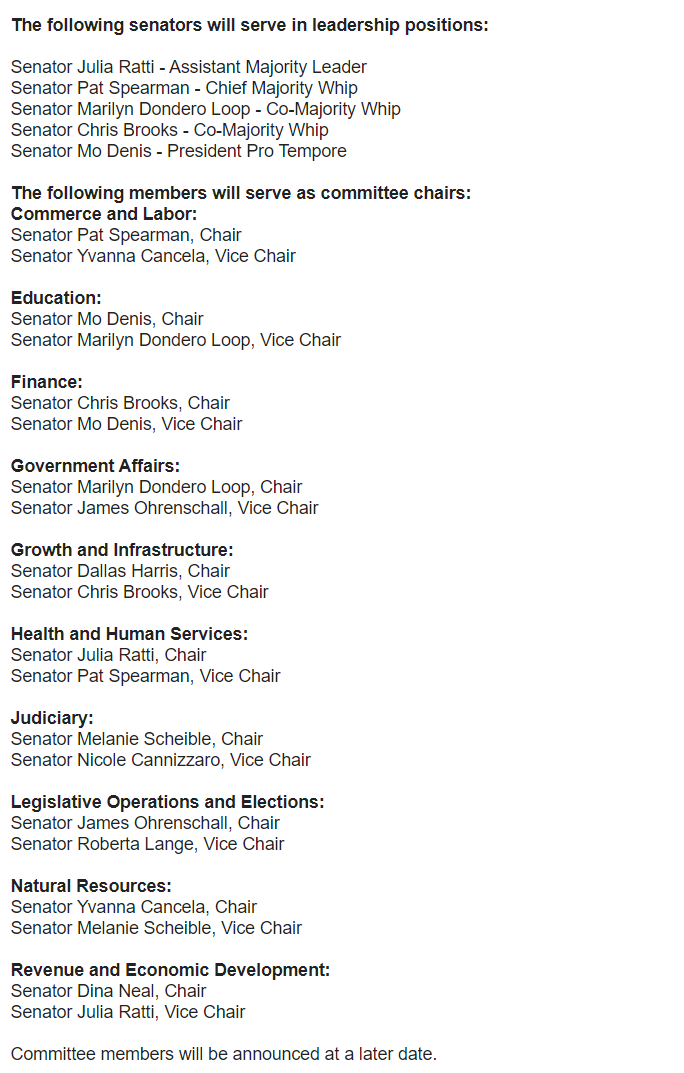 RileySnyder's tweet photo. The @NVSenateDems have released this list of committee chairs for the 2021 #nvleg session.

Of note, @LVchrisbrooks will chair the Finance committee (former chair Joyce Woodhouse was termed out of office.) https://t.co/tQyqCYLVD0
