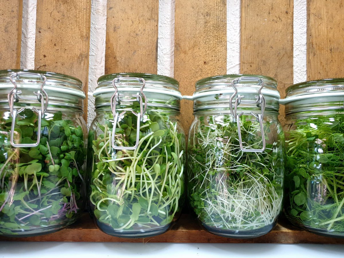 Eden Greens Urban Farm tweet media