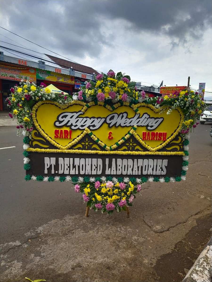 GarutBunga's tweet photo. Toko bunga garut https://t.co/Ok7FTSnX3r