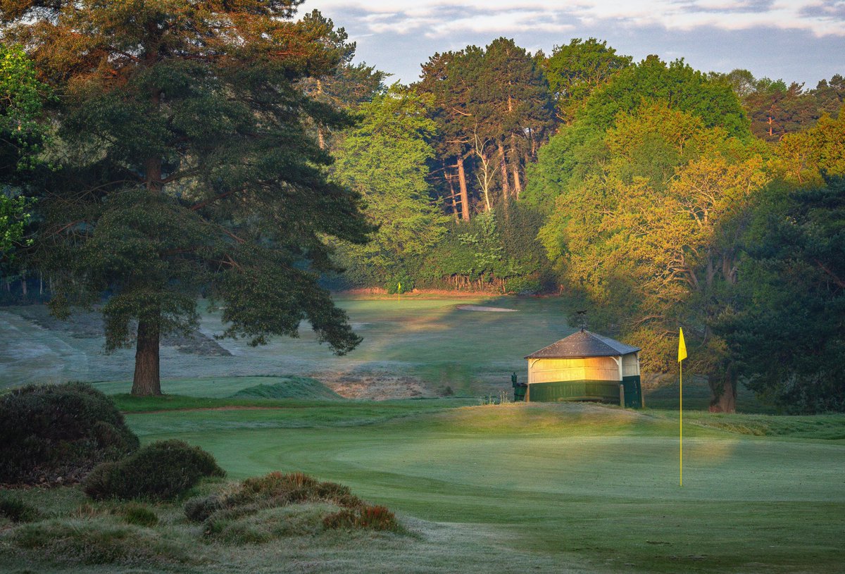 Sunningdale Heath tweet media