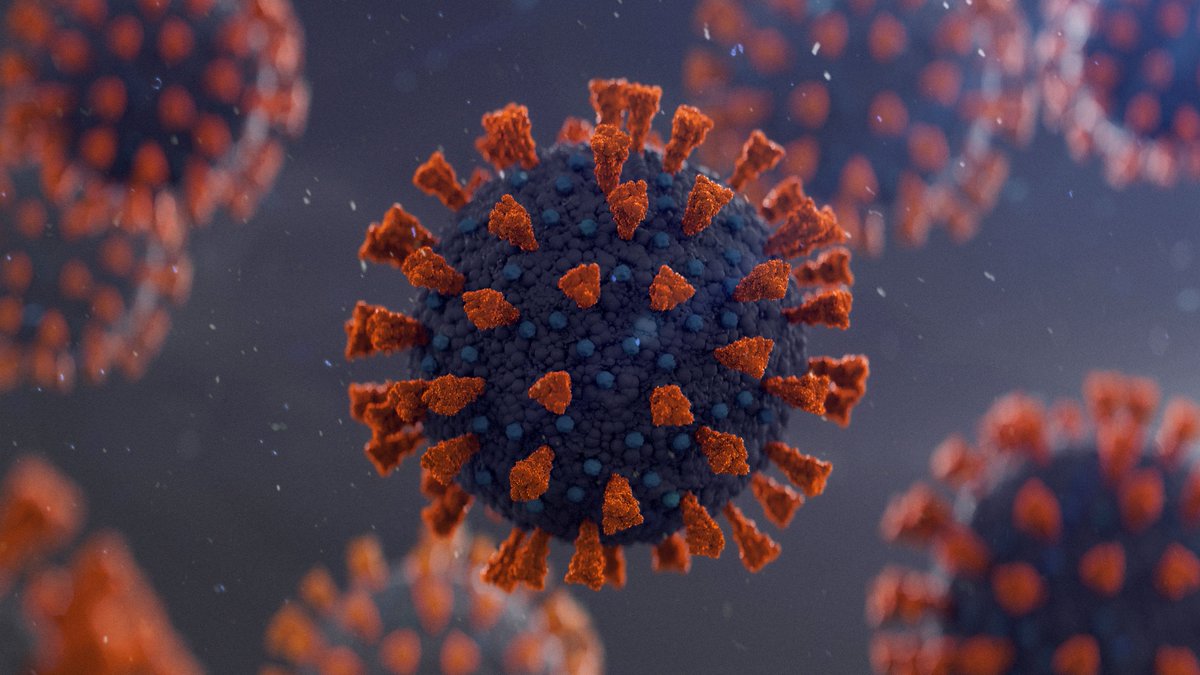 TheOnion's tweet photo. Coronavirus Optimistic New Mutation Will Be Widely Available To Public By Early Spring https://t.co/Vsm8TUKvBt https://t.co/CwvN0goO0s
