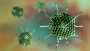 1/The  #AstraZeneca vaccine is a version of an adenovirus (common cold virus) that delivers instructions to our cells to make the Spike protein of the coronavirus. That way our immune system is "trained" so when it encounters  #SARSCoV2, it can mount an efficient response