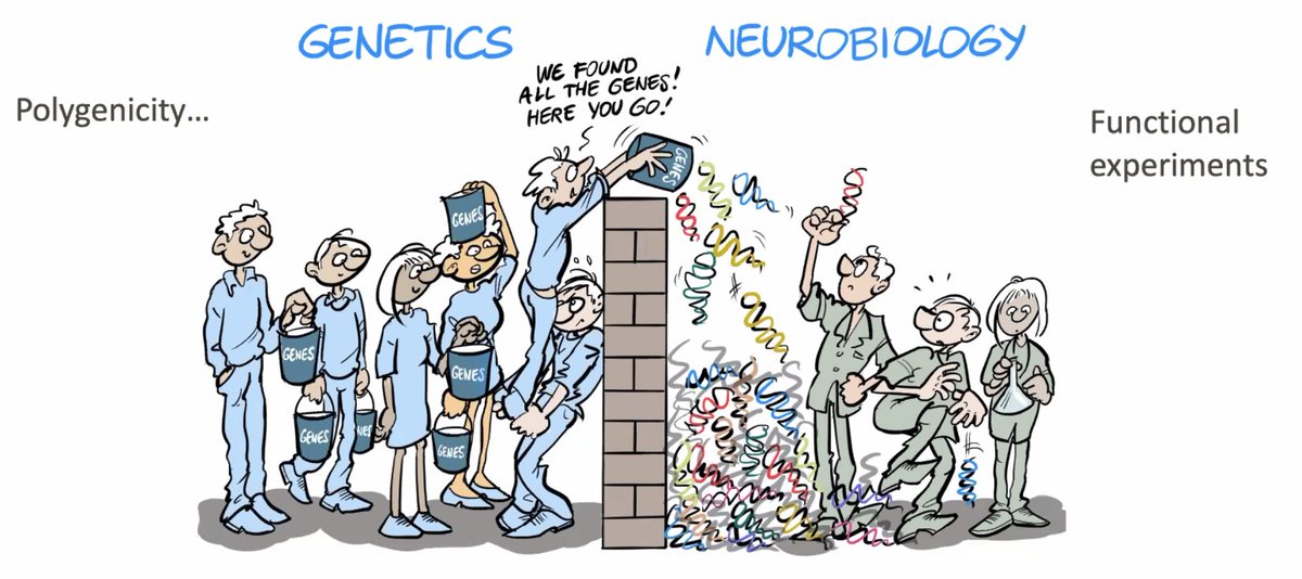 doctorveera's tweet photo. A new GWAS in 1.3 million individuals identifies more genes associated with blood pressure. 

https://t.co/xNoURiHlOV https://t.co/gm46RLqkoB