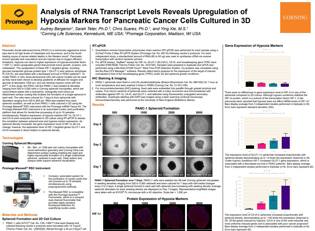 CorningLifeSci's tweet image. Here is an excellent poster done in collaboration with @promega and shared at the #SLAS2020 conference: Analysis of RNA Transcript Levels Reveals Upregulation of Hypoxia Markers for Pancreatic Cancer Cells Cultured in 3D. Access it here: ms.spr.ly/6018pJHxg