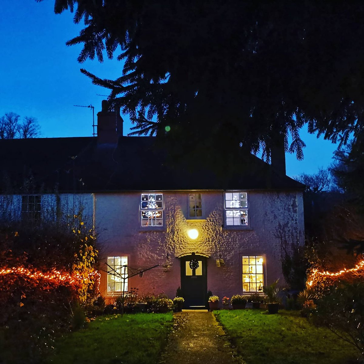 lazyperfection's tweet photo. The festive season has arrived early here in Wiltshire with our cat proof decorations! #catproofchristmastree #festive #decorations #countrycottage #wiltshire #earlychristmas https://t.co/sJIwgguVvQ
