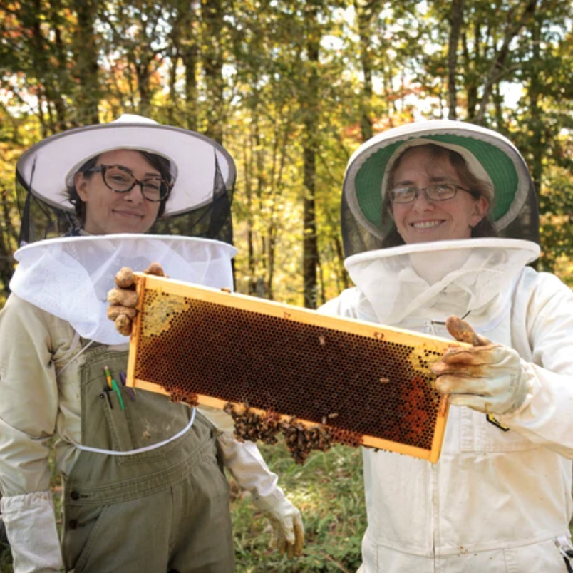 AppalachianBees's tweet photo. "To me, tending the bees in our care is a privilege as well as an important responsibility, since our human actions have put their global population in danger." - Colleen Fitts #partnerprofiles #westvirginia #beekeepers #beekeeperslife #honey #mondaymotivation https://t.co/UWbzGOnpai