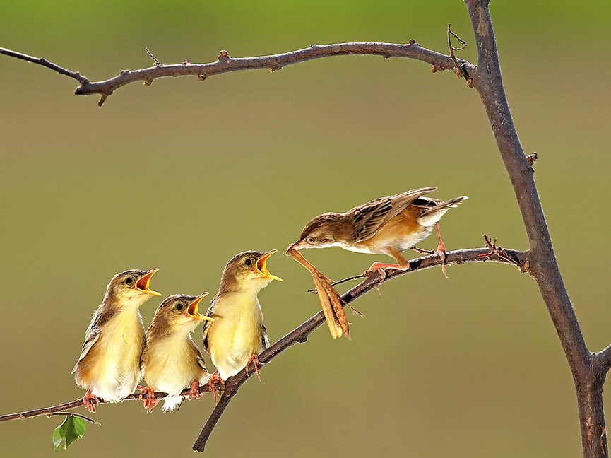 <a href="/David77692706/">David</a> These are also happy family...😉🙋‍♀️