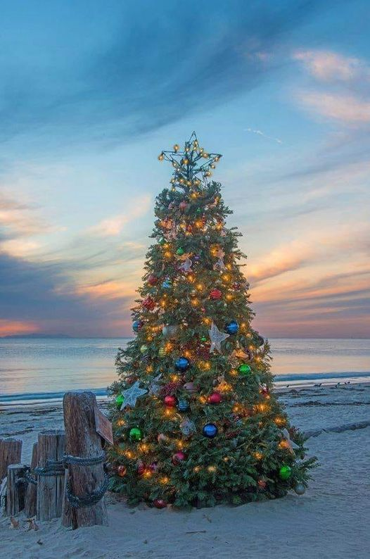TCsFrontPorch's tweet photo. Too soon? I think after the year we've had, we deserve it!
#TCsFrontPorch #navarrebeach #holidayseason https://t.co/7koML0TEwv