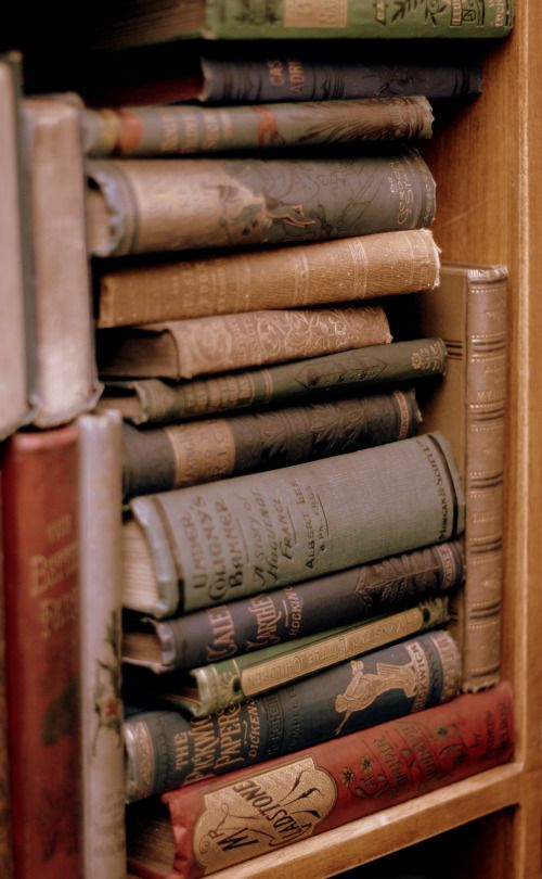 𝑹𝒂𝒊𝒅𝒆𝒏. tweet media