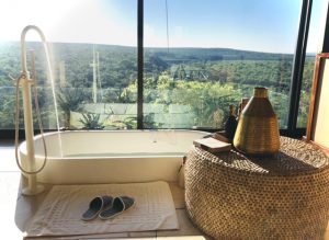 African Synergy tweet media