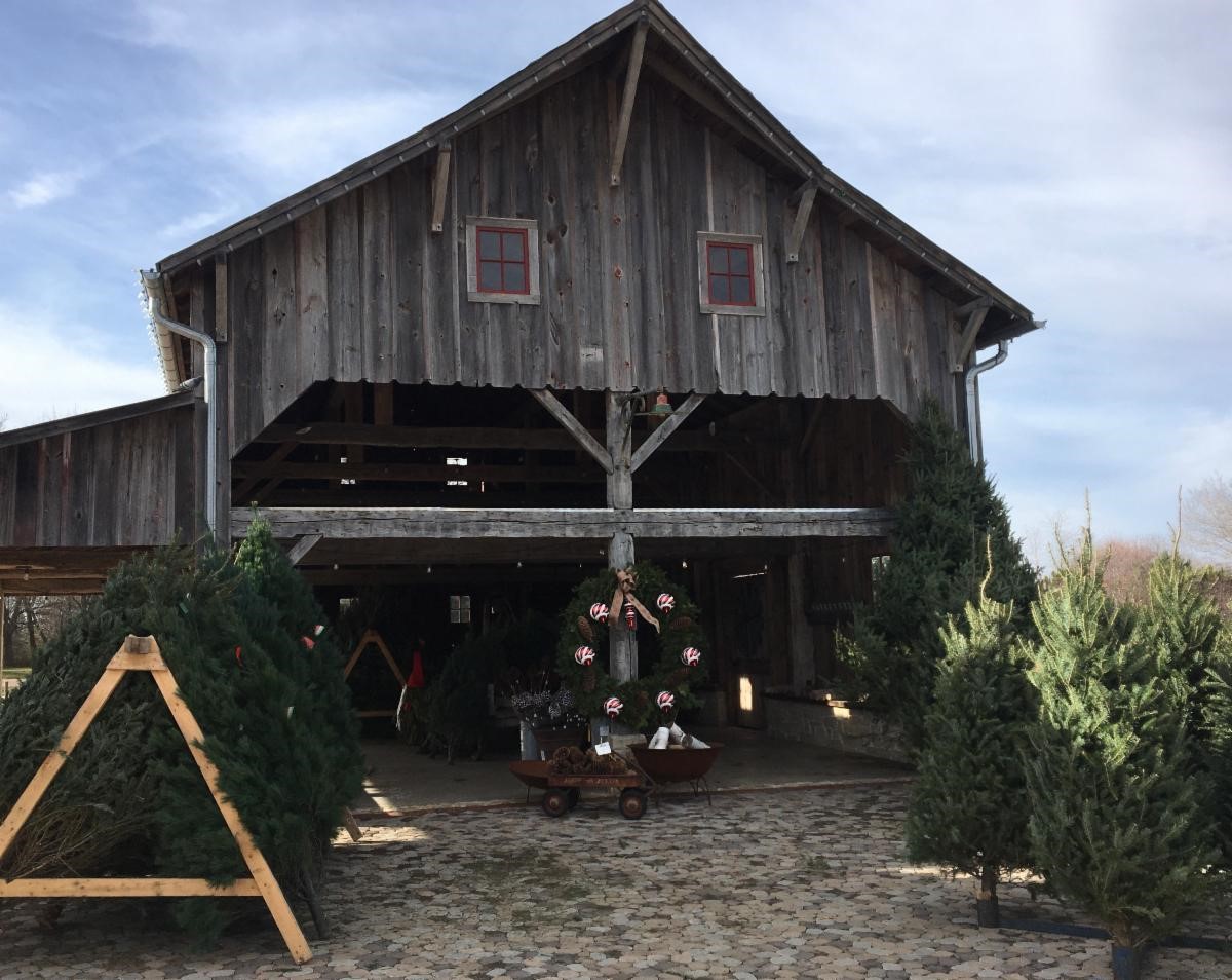 hartmanco's tweet photo. It's beginning to look a lot like #christmas at the #hartmangardencenter! https://t.co/6R5hE62ajb