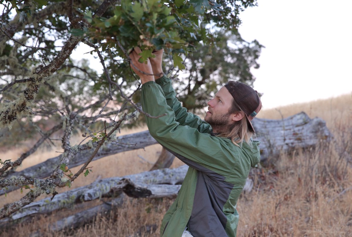 SFUENV's tweet photo. Will bedrock save our coastal ecosystems from climate change?

@GeogSFU Jesse Hahm's recent research unearthed the ability of bedrock to provide oak trees on the West Coast with essential hydration throughout dry summer months.

#SFUenvironment #SFU
https://t.co/CmNkfg4lDl https://t.co/XaAU7uL5Uz
