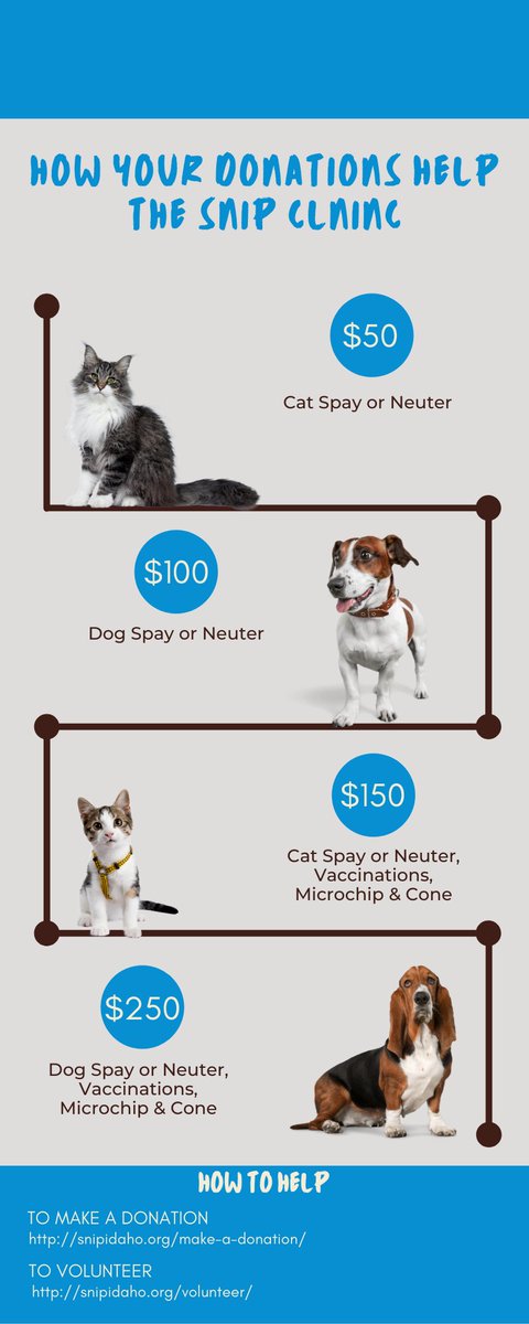 How does your donation help the SNIP Clinic? $50 covers the cost of a cat spay or neuter, $100 covers a small dog spay or neuter, $150 covers a cat spay or neuter, vaccinations, microchip and cone and $250 covers a small dog spay or neuter, vaccinations, microchip and cone.