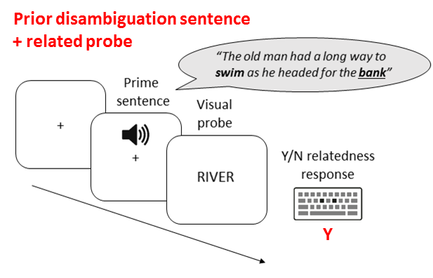 But then – and here’s the shock twist - we also saw more priming when the prime sentence was followed by a semantically-related probe word, compared to an unrelated probe word.