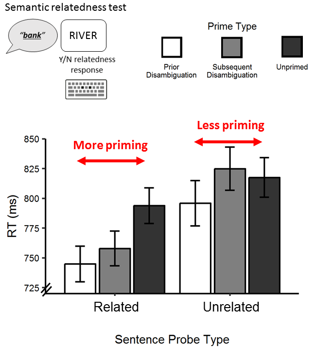 But then – and here’s the shock twist - we also saw more priming when the prime sentence was followed by a semantically-related probe word, compared to an unrelated probe word.