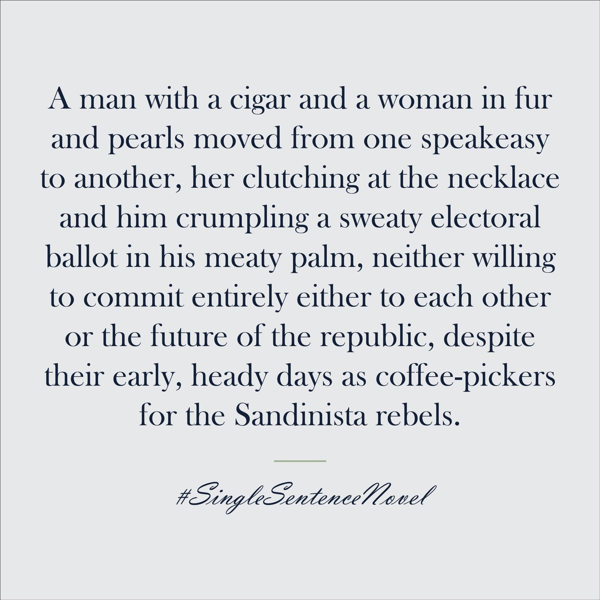 johnnypaynebook's tweet photo. #singlesentencenovel #NaNoWriMo https://t.co/VMKccp87bP