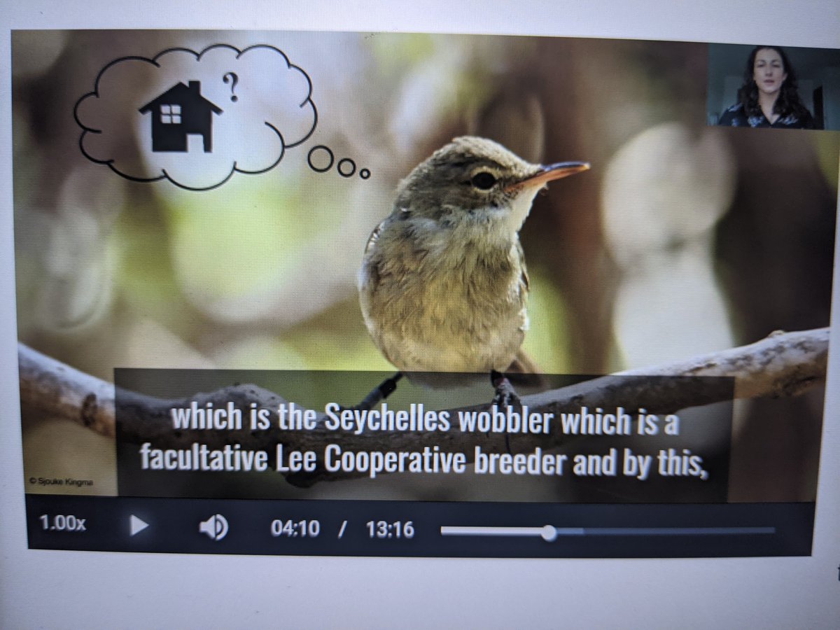 _TaraCox's tweet photo. how many ways can zubtitles mishear 'Seychelles warbler'? (spoiler: it's actually more than 4) https://t.co/tFjXRk8K1Y