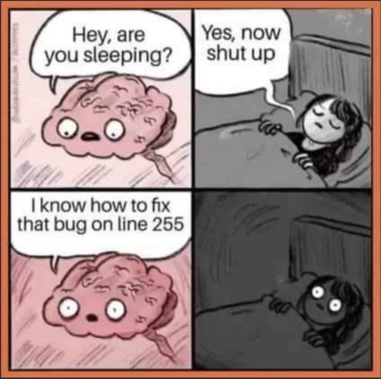 Cartoon brain: “hey, are you sleeping?”
Cartoon woman in bed with eyes closed: “yes, now shut up.”
Cartoon brain: “I know how to fix that bug on line 255.”
Cartoon woman in bed opens her eyes.