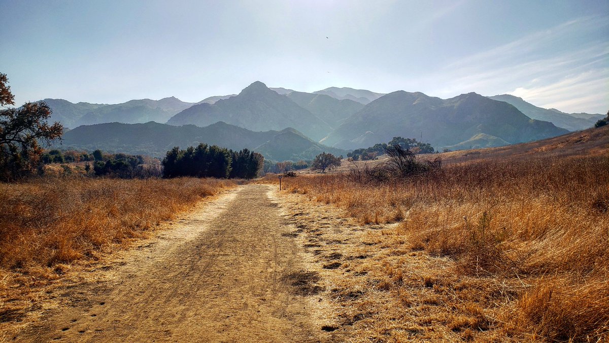 Summitdraw's tweet image. Malibu Creek SP. Great spot for holding a drawing workshop.