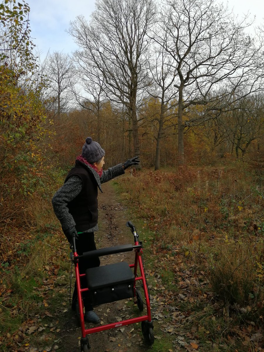 #Sunday #walking out in ๐ณBlean Woods ๐ณwith ๐mum ๐ค#Canterbury #Kent #SocialDistancing #natureheals #wellness #wellbeing #walks #over60
#wellness #woodlands #autumncolours #leaves #trees #unpaidcarers #carers #dementiafriendly
#keepconnected #CarersRightsDay
.@WhitstableLive https://t.co/wqk6kJOXFa